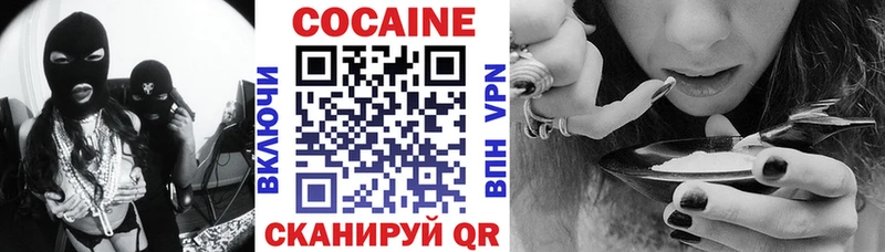 где можно купить наркотик  Приволжский  Cocaine FishScale 