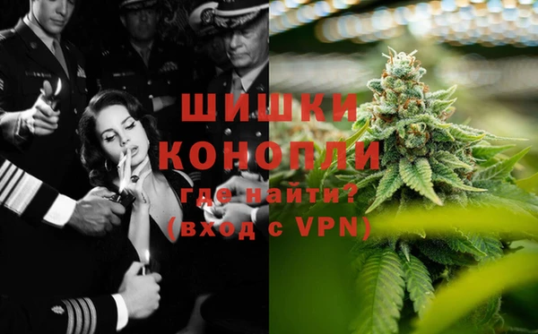 прущие крисы Абаза