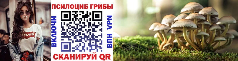 Галлюциногенные грибы MAGIC MUSHROOMS  площадка как зайти  Приволжский  закладки 